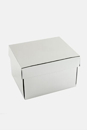 Gümüş Renkli Kapaklı Saat Kutusu