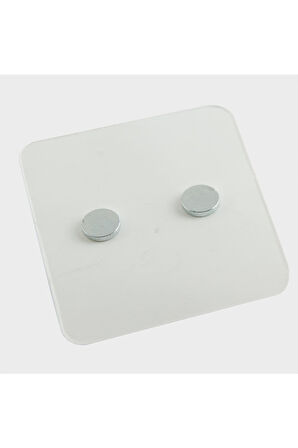 Panda Mıknatıslı Plastik Çocuk Küpesi