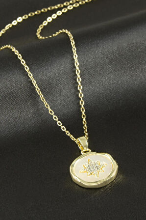 Yıldız Sedef Zirkon Taşlı Lüks Çelik Kolye