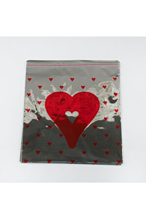 Meltalize Hediye Poşet Paketi 100'lü (20*25)