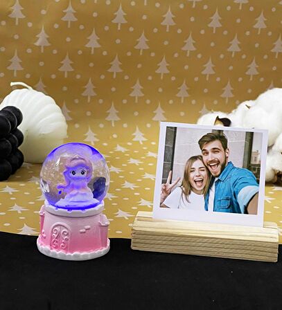 Sevimli Prenses Mini Işıklı Kar Küresi Ve Ahşap Fotoğraf Tutucu 