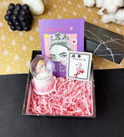 Sevimli Prenses Kar Küresi Ve Pink Queen Albüm Hediye Seti