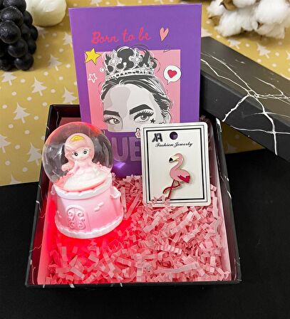 Sevimli Prenses Kar Küresi Ve Pink Queen Albüm Hediye Seti