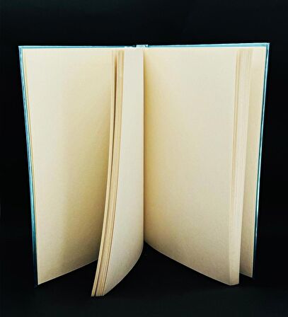 Metal Kapaklı Sevimli Kedi Tasarımlı Lastikli Defter