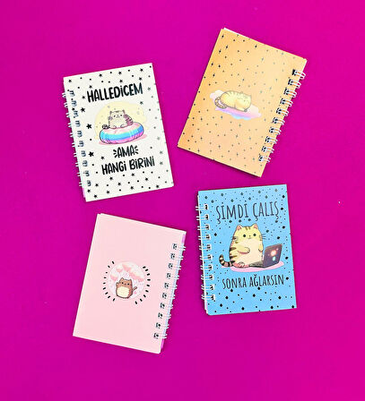Mini 4'lü Kedili Spiralli Defter 