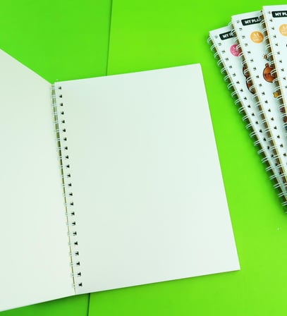 Capybara A4 Sketchbook – 45 Yaprak / 250 gr / Spiral Cilt