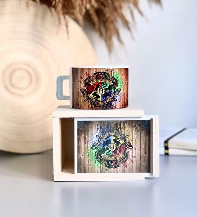 Hogwarts Tasarımlı Kutulu Kupa