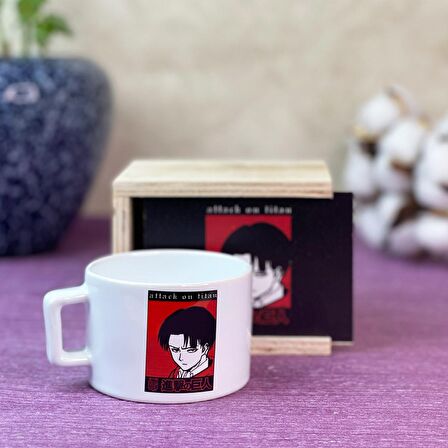 Levi Attack On Titan Tasarımlı Kutulu Kupa