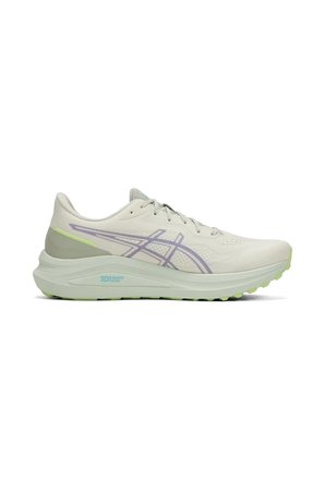 Asics Erkek Koşu Ayakkabısı Gt-1000 13 Tr 1011C043-300