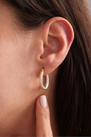 Çift Renk Desenli Halka Küpe