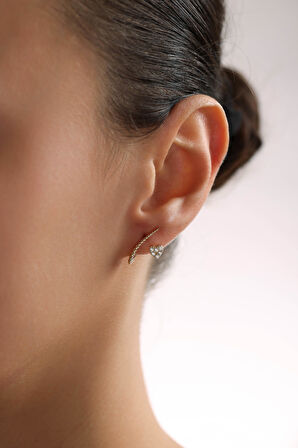 Kalp Burgu Spine Küpe