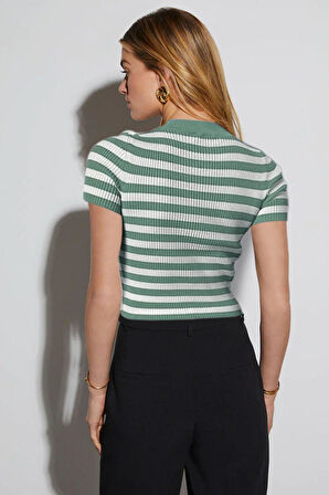 Kadın Çizgili Kısa Kol Bisiklet Yaka Camel Bluz