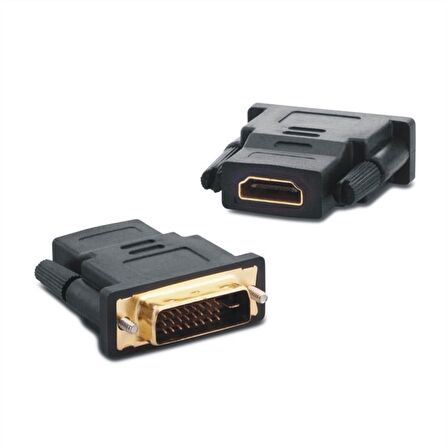 Satworld Hdmi Dişi DVI Erkek Çeviri