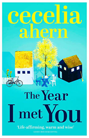 The Year I Met You  -Cecelia Ahern