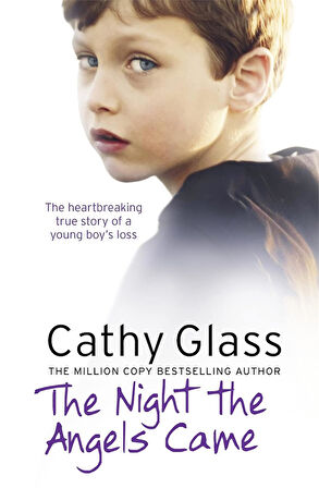 The Night the Angels Came  -Cathy Glass