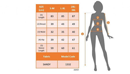 Kadın Uzun Kollu Kruvaze Yaka Sandy Mini Elbise