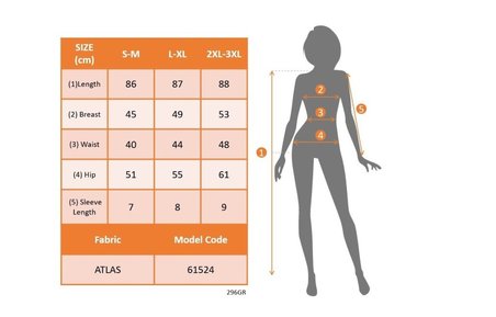 Kadın Kısa Gül Detaylı Kollu Bisiklet Yaka Cepli Mini Atlas Elbise