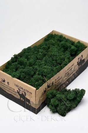 Koyu Yeşil Şoklanmış Norveç Moss (Ren Geyiği Yosunu) 500 gr