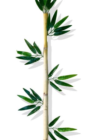 Yapay Yapraklı Dekoratif Bambu Çubuğu 170 Cm 3 Adet Islak Doku