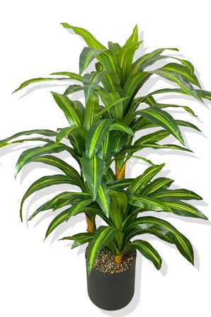 DRACAENA FRAGRANS 3 GÖVDE YAPAY AĞAÇ 160 CM SİYAH 30X30 GALVANİZ SAKSI