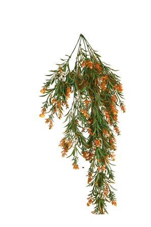 Turuncu Ihlamur Sarkıt 80x50