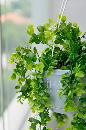 Askılı Saksıda Yapay Sarkan Okaliptus - 90 cm Balkon ve Teras Çiçeği