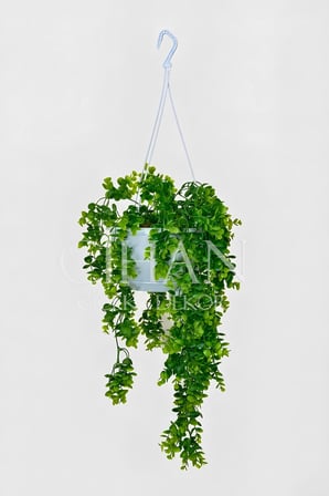 Askılı Saksıda Yapay Sarkan Okaliptus - 90 cm Balkon ve Teras Çiçeği