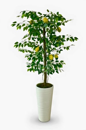 Premium Yapay Limon Ağacı 170 cm - 8 Limonlu 56X30X20 Kumsal Saksılı
