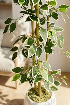 Yapay Alacalı Ficus Ağacı 3 Bambulu 110 cm 27*33 Beyaz Küre Saksılı