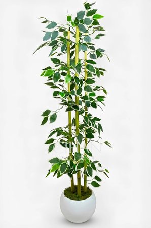 Yapay Alacalı Ficus Ağacı 3 Bambulu 110 cm 27*33 Beyaz Küre Saksılı