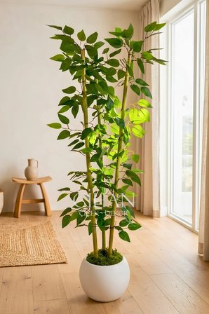 Yapay 3 Bambulu Benjamin Ağacı 110 cm - 27*33 Beyaz Küre Saksılı