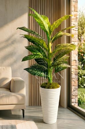 Yapay Difenbahya Ağacı - 57X30 Dekoratif Kumsal Saksılı 160 cm