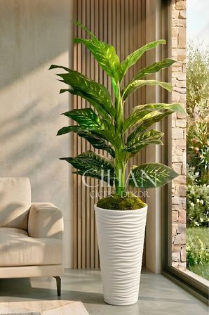 Yapay Difenbahya Ağacı - 57X30 Dekoratif Kumsal Saksılı 160 cm