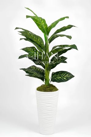 Yapay Difenbahya Ağacı - 57X30 Dekoratif Kumsal Saksılı 160 cm