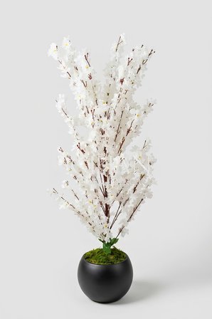 Yapay Beyaz Sakura Kiraz Çiçeği Ağacı 120 cm - Küre Plastik Saksılı 27x33 cm Saksı