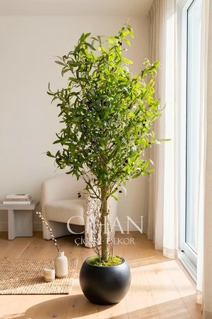 180 Cm Lüks Yapay Zeytin Ağacı - 27X33 Cm Plastik Küre Saksı