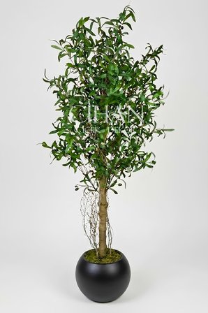 150 Cm Lüks Yapay Zeytin Ağacı - 27X33 Cm Plastik Küre Saksı