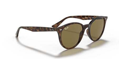 Ray-Ban RB4305 710/73 53 Unisex Güneş Gözlüğü