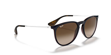 Ray-Ban RB4171 631513 54 Unisex Güneş Gözlüğü