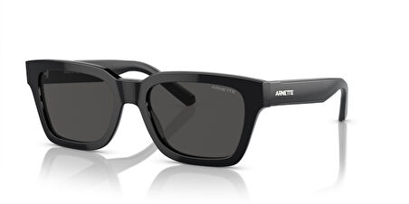 Arnette AN4334 121487 53 Unisex Güneş Gözlüğü