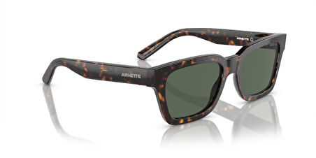 Arnette AN4334 122271 53 Unisex Güneş Gözlüğü