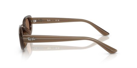 Ray-Ban RB4441D 677973 53 Kadın Güneş Gözlüğü