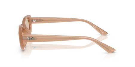 Ray-Ban RB4441D 678793 53 Kadın Güneş Gözlüğü