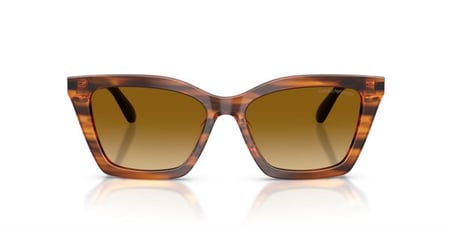 Emporio Armani 0EA4250U 62682L 54 Asetat Kadın Güneş Gözlüğü