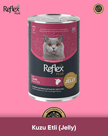 Reflex Plus Kedi Maması 2'li Mükemmel Set