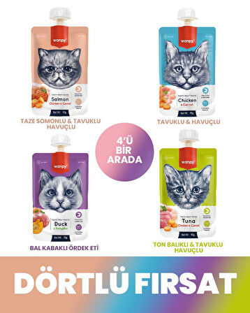 Wanpy Kedi Et Ezmesi 4x90gr 4 Lezzet Mix Paket 