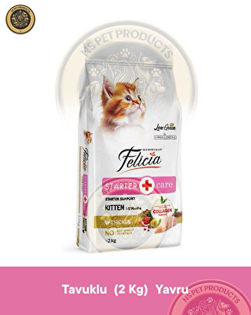 Felicia Starter Care Kitten Chicken- Collagen 2kg (Az Tahıllı & Hipoalerjenik Tavuk Etli Yavru Kedi Maması) 