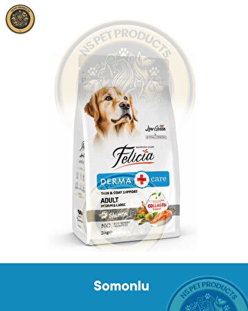 Felicia Derma Care Adult Salmon-Collagen Medium & Large 3kg (Az Tahıllı & Hipoalerjenik Somonlu Yetişkin Köpek Maması Orta ve Büyük Irklar için)