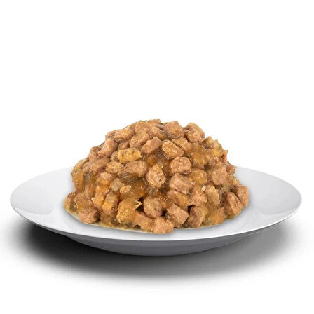 Felicia Pouch Yetişkin Somonlu Yaş Kedi Maması 6x85gr
