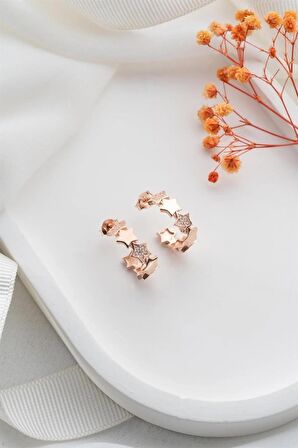 925 Ayar Rose Yıldızlı Halka Gümüş Küpe